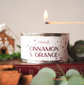 Pintail Cinnamon & Orange Paint Pot Candle