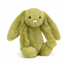 Load image into Gallery viewer, Jellycat Bashful Moss Bunny Medium
