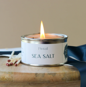 Pintail Sea Salt Paint Pot Candle