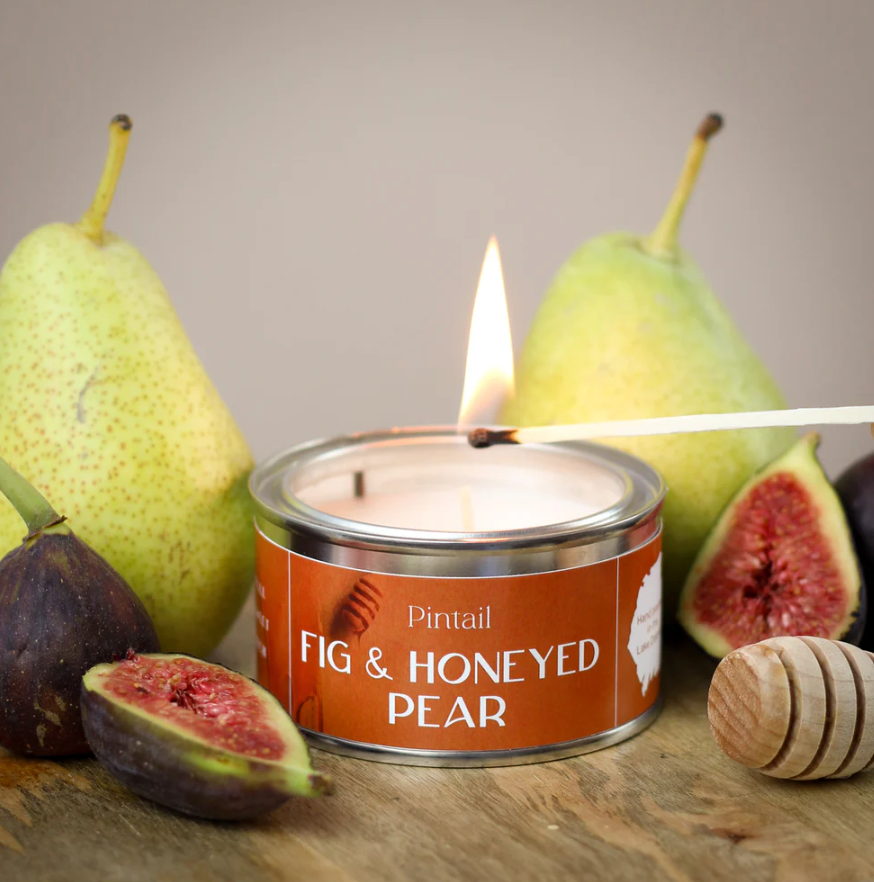 Pintail Fig & Honeyed Pear Paint Pot Candle