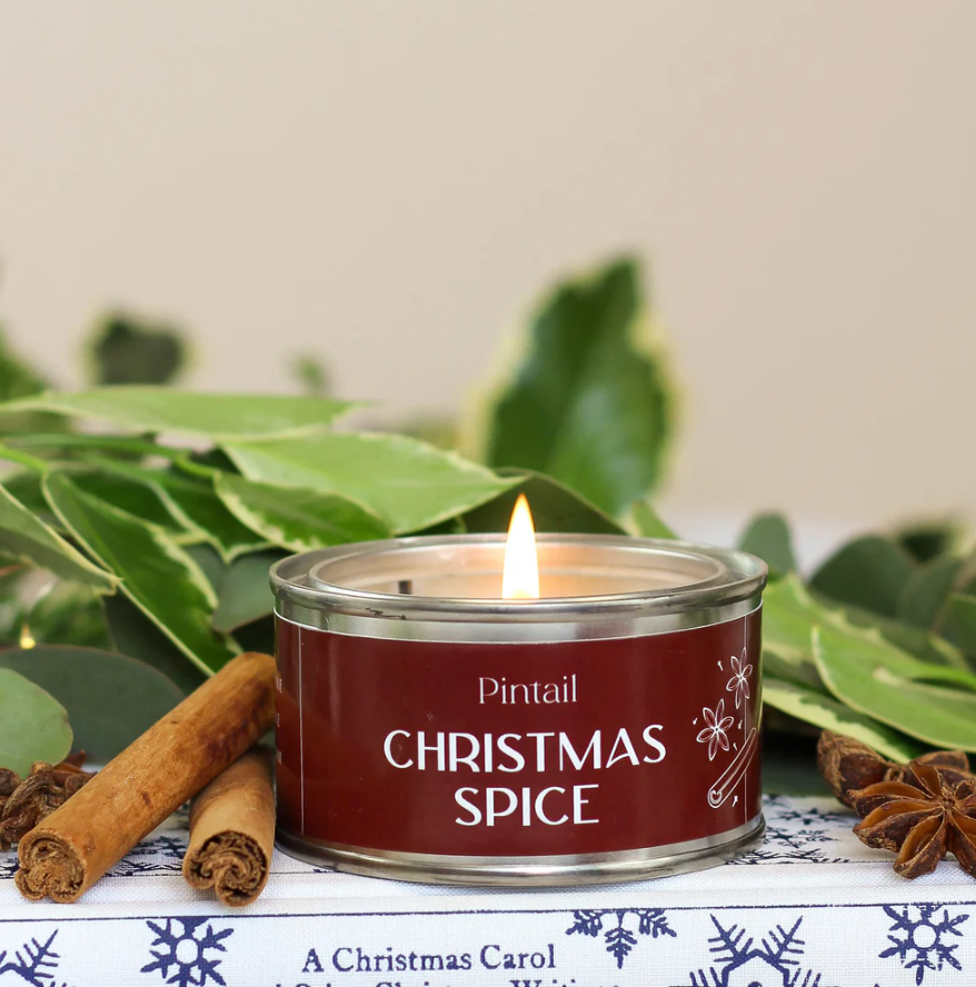 Pintail Christmas Spice Paint Pot Candle