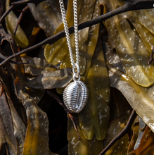 Load image into Gallery viewer, Alison Moore Silver Cowrie Shell Pendant
